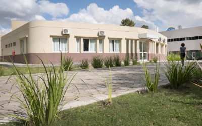 ESCUELA DE VERANO EN EL INSTITUTO