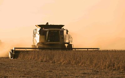 QUÉ SON LOS AGRONEGOCIOS